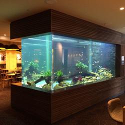 Click to view album: Aquariums